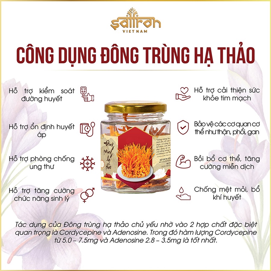 Đông trùng hạ thảo hút chân không sấy lạnh Saffron Việt Nam hũ 10Gr