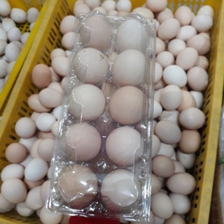 Trứng Gà Ta thả vườn tự nhiên(đảm bảo tươi ngon)khay 10 quả