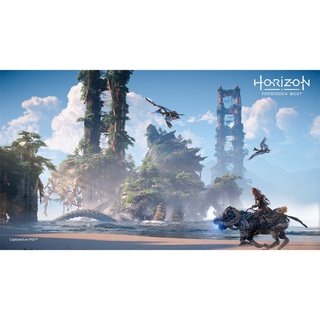 đĩa game ps5 Horizon Forbidden West