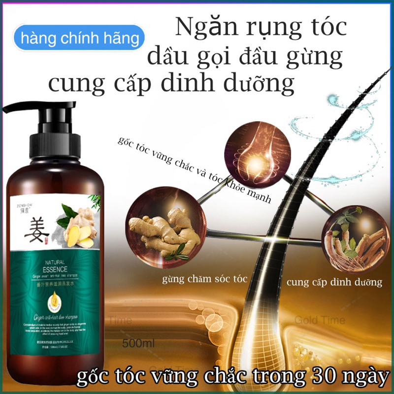 Bộ dầu gội ngăn rụng tóc dầu gội chống rụng tóc chết xuất gừng tươi có thể kích mọc tóc nhanh