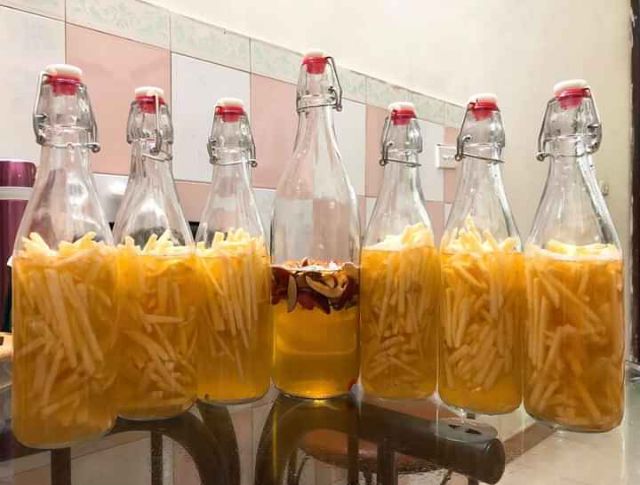 Scoby, , con nấm làm kombucha, kefir. Hướng dẫn nuôi tỉ mỉ đến khi thành công