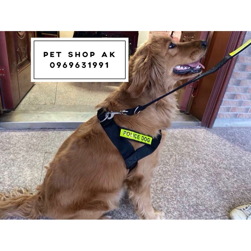 Đai dắt yếm police dog logo phản quang cho chó vừa và to c