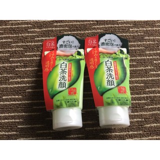 Sữa rửa mặt trà xanh Nhật Bản Rohto Green Tea Foam