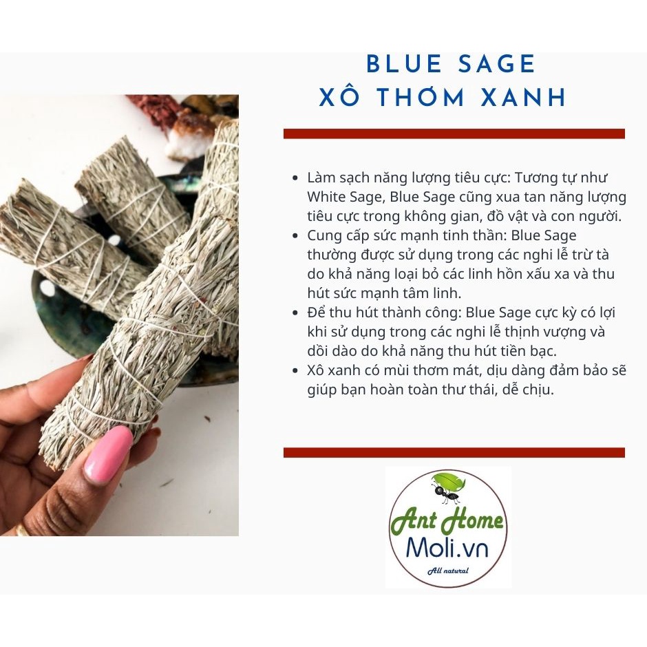 Sét Palo Santo 6gr + bó Xô thơm 10cm tặng 1 viên đá thanh tẩy tự nhiên ngẫu nhiên (lưu ý loại xô thơm)