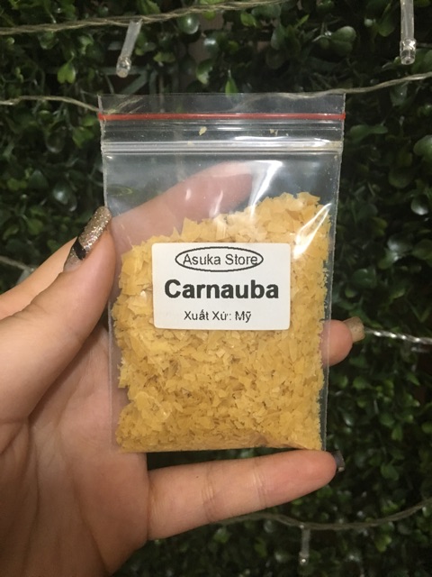 Sáp Carnauba (10g, 50g)- Nguyên Liệu Mỹ Phẩm Handmade