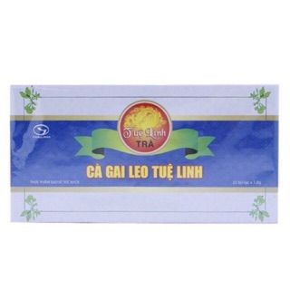 Trà cà gai leo tuệ linh