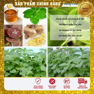 Hạt giống Rau Thơm Lùn ( Húng Chanh)