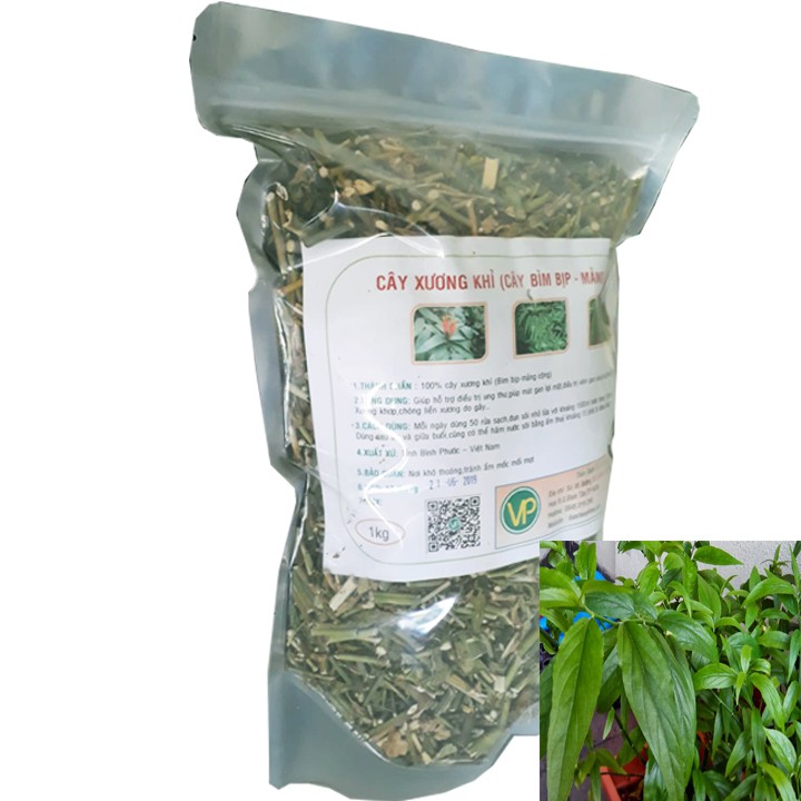 Cây bìm bịp - Thảo Dược Vạn Phúc