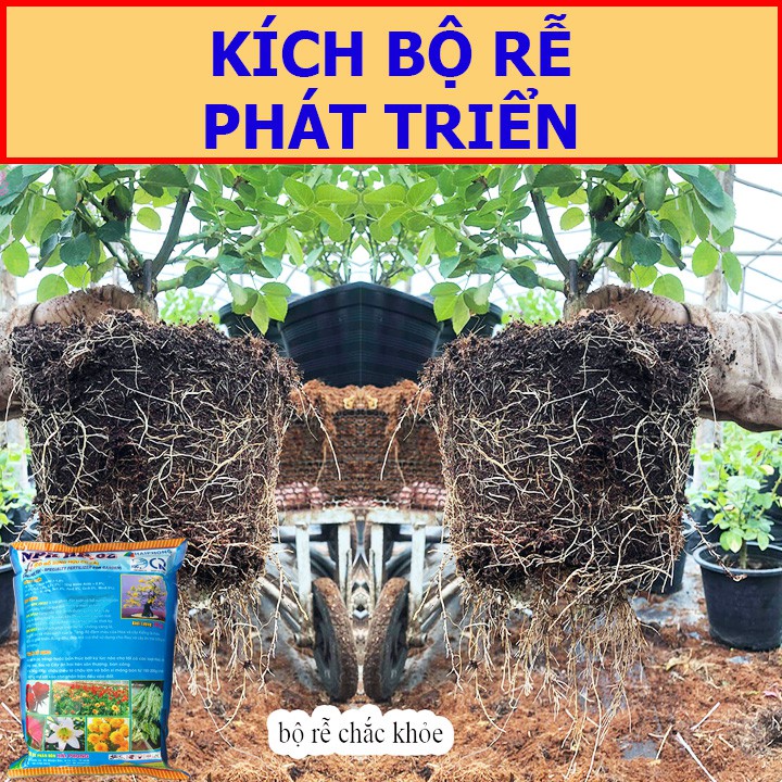 PHÂN HỮU CƠ ĐẠM CÁ NPK HP 02 1KG