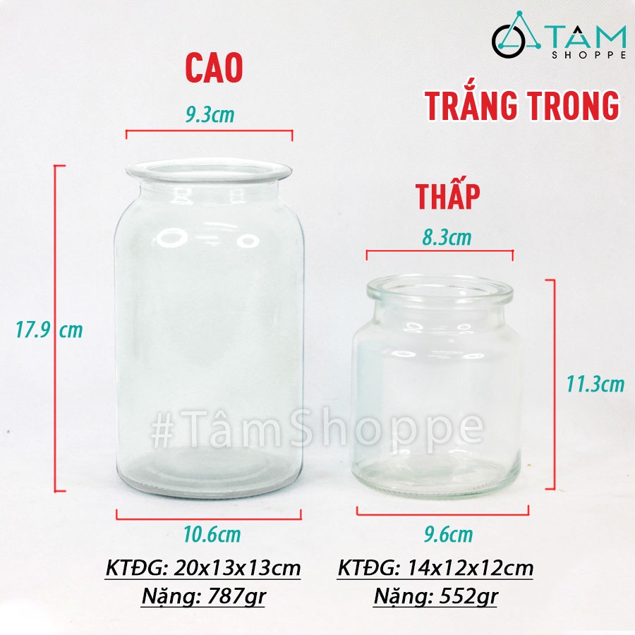 Lọ hoa thủy tinh trong suốt trụ tròn nhiều màu LHTT-69