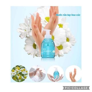 Nước rửa tay hoa cúc, nước rửa tay hữu cơ