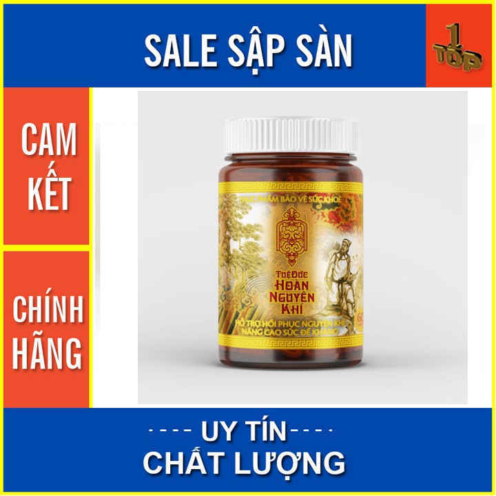 Tuệ Đức Hoàn Nguyên Khí - Hỗ Trợ Phục Hồi Nguyên Khí & Bổ Khí Huyết - Hộp 60 viên