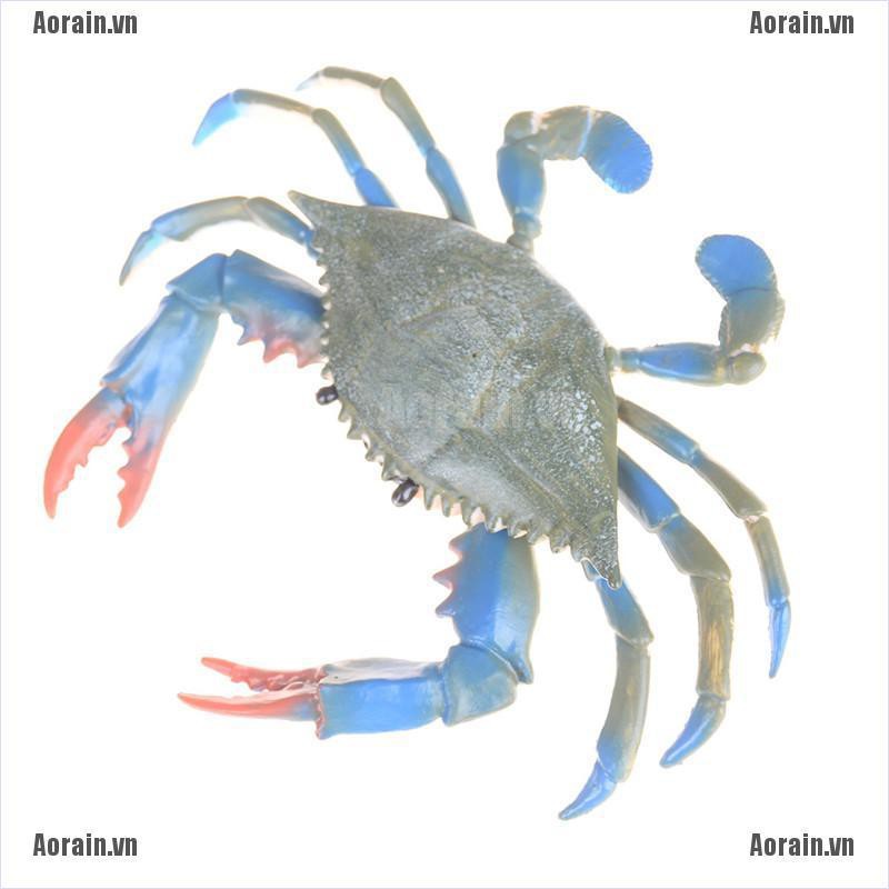 Mô Hình Đồ Chơi Cua Biển Độc Đáo