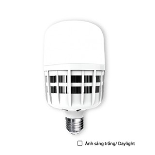 Đèn led điện quang 20w