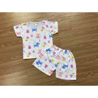 Bộ cotton giấy cong91