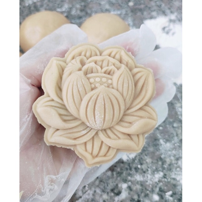 Khuôn trung thu sen búp 150gr và 200gr