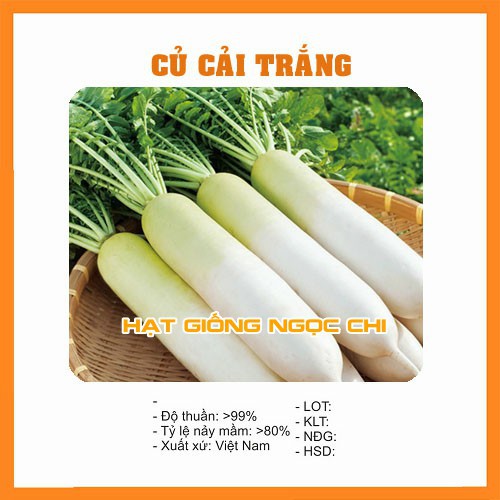 Hạt Giống Củ Cải Trắng (Ngọt) - 20Gr