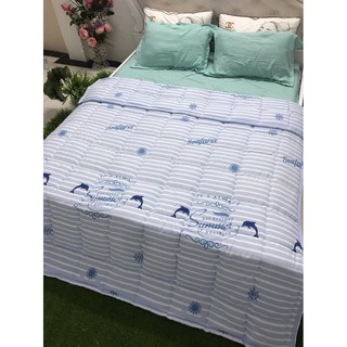 Bộ chăn ga gối cotton đũi