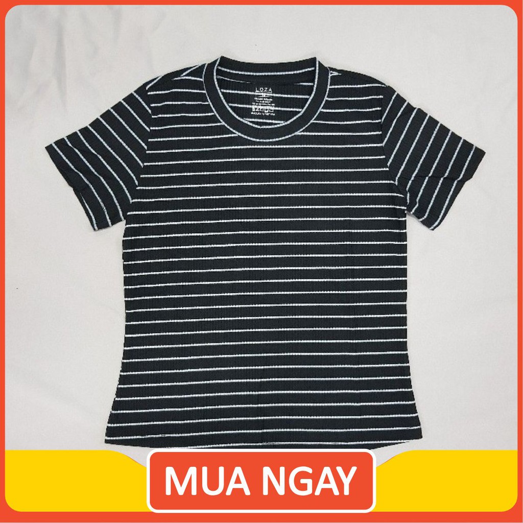 Áo Thun Nữ Đẹp Sọc Ngang Đơn Giản SXA01-024. ProbeeShop | BigBuy360 - bigbuy360.vn