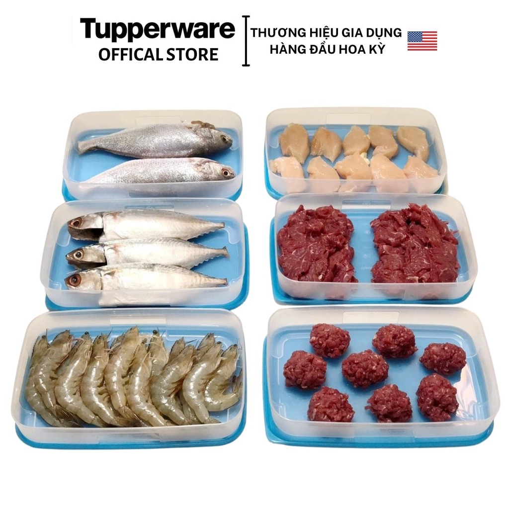 Bộ hộp trữ đông Tupperware Happy Set 550ml 4 hộp (dung tích tràn 650ml) - Bảo hành trọn đời - Nhựa nguyên sinh