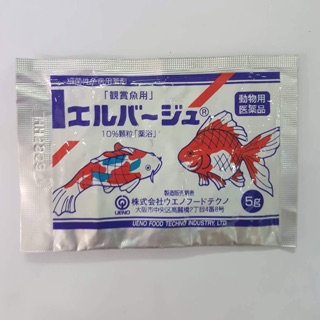 Tetra Nhật kháng khuẩn trị lỡ loét đốm đỏ xuất huyết cá