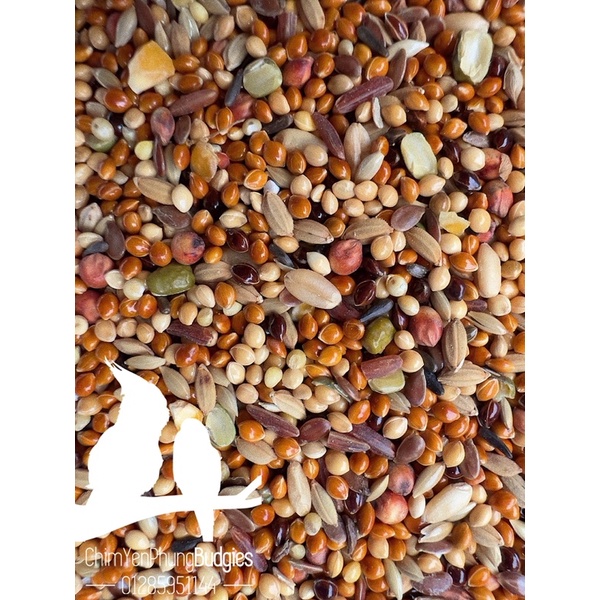 2kg ngũ cốc cao cấp  cho Cu Gáy • Bồ Câu • Chim Cảnh.