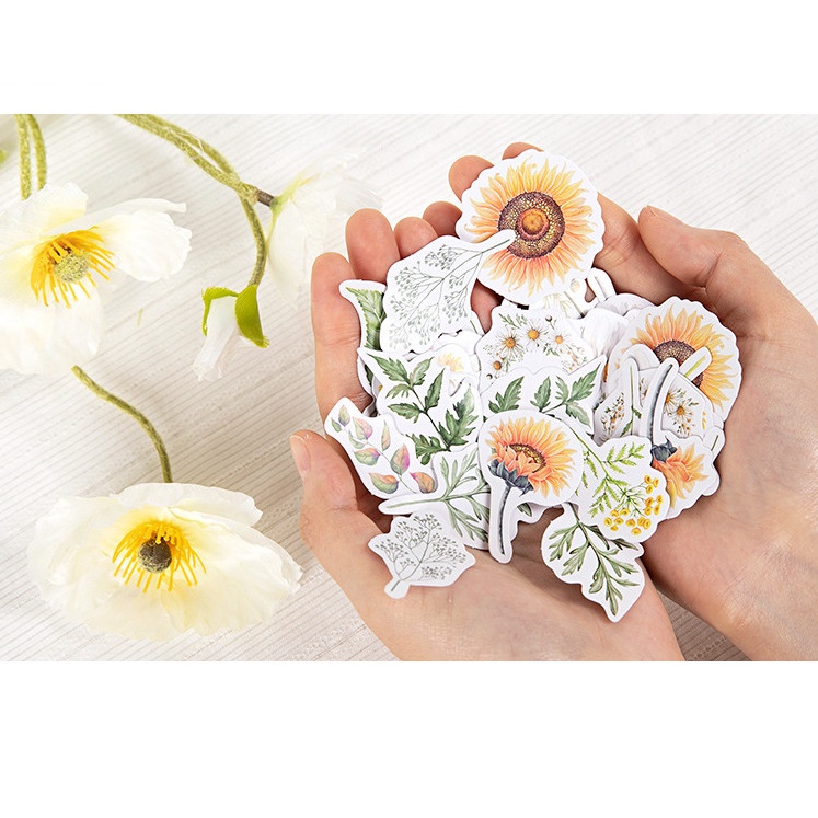 Hộp 45 miếng dán, Sticker trang trí thiệp, sổ, đồ dùng cá nhân chủ đề CÂY VÀ HOA độc lạ BAG U