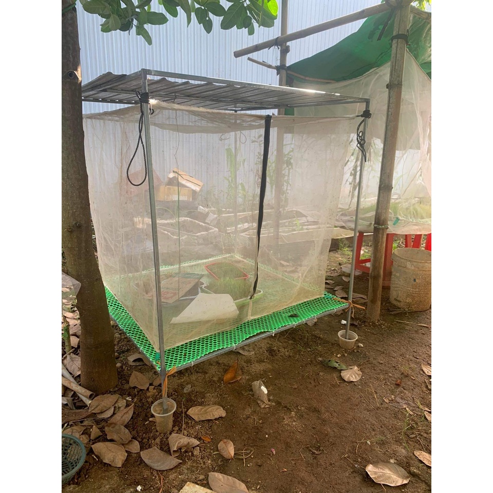 Lưới nuôi châu chấu , ruồi lính đen. 1x1x1m. Lưới Thái xanh 1mm