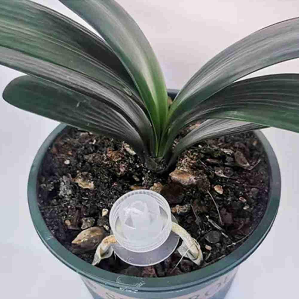 LONTIME Vòi Phun Nước Tưới Cây Tự Động Có Thể Điều Chỉnh