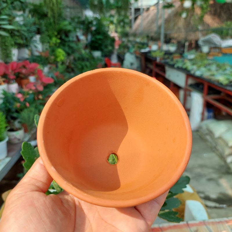 Chậu đất nung, chậu sen đá - Ly gờ 106, miệng chậu 10cm, chiều cao 6cm