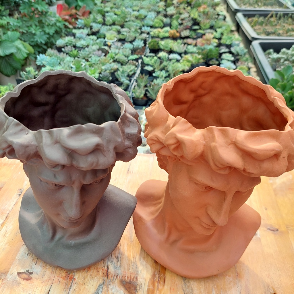 Chậu đất nung, Chậu sen đá - Chàng trai David, miệng chậu 12cm,chiều cao 24cm