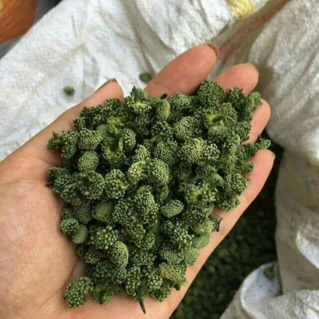 Nụ hoa tam thất 500g