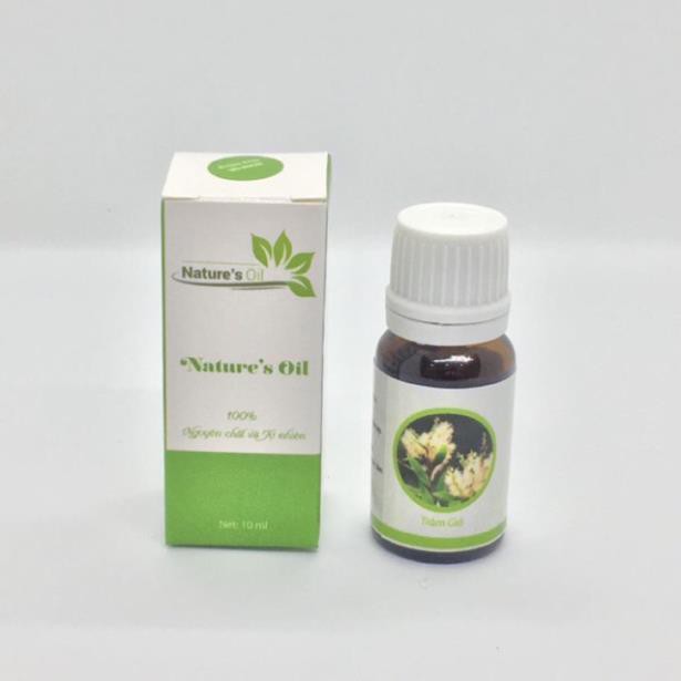 Tinh dầu tràm gió-Viện KHCN VN