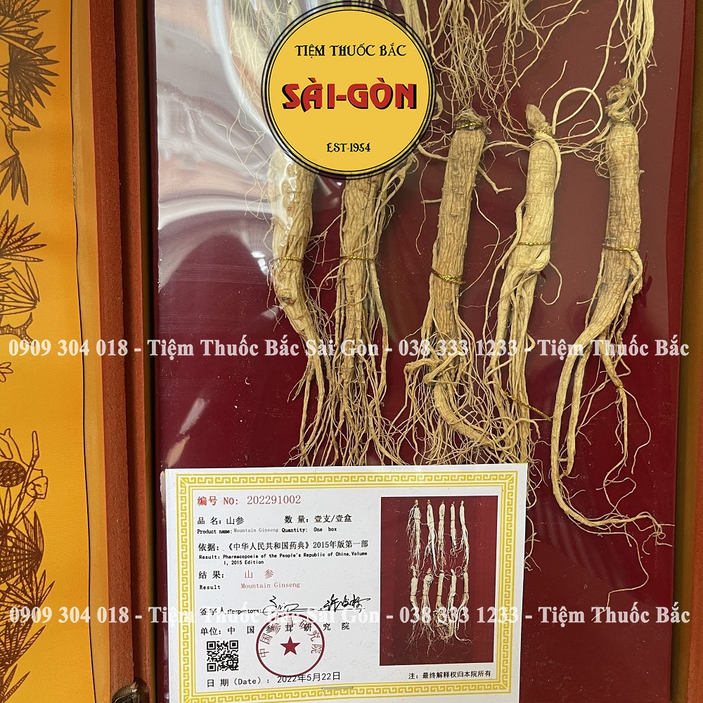 Sâm Khô Núi Trường Bạch Hộp 12 củ  - Tiệm Thuốc Bắc Sài Gòn