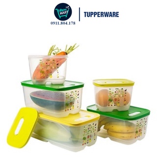 [Chính Hãng - Hộp Lẻ] Hộp Tupperware Ventsmart Trữ Mát 800ml / 1.8l / 4.4l / 6.1l Chất Nhựa Nguyên Sinh Cao Cấp An Toàn