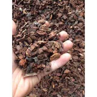 Vỏ thông trồng phong lan size 0.5 cm