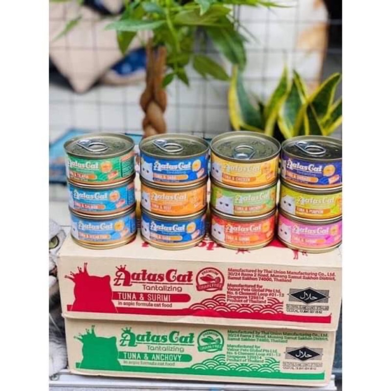 [Mã PET50K giảm Giảm 10% - Tối đa 50K đơn từ 250K] Pate Lon Cao Cấp Aatas Cat Tantalizing Tuna 80G - Hàng Nhập Khẩu