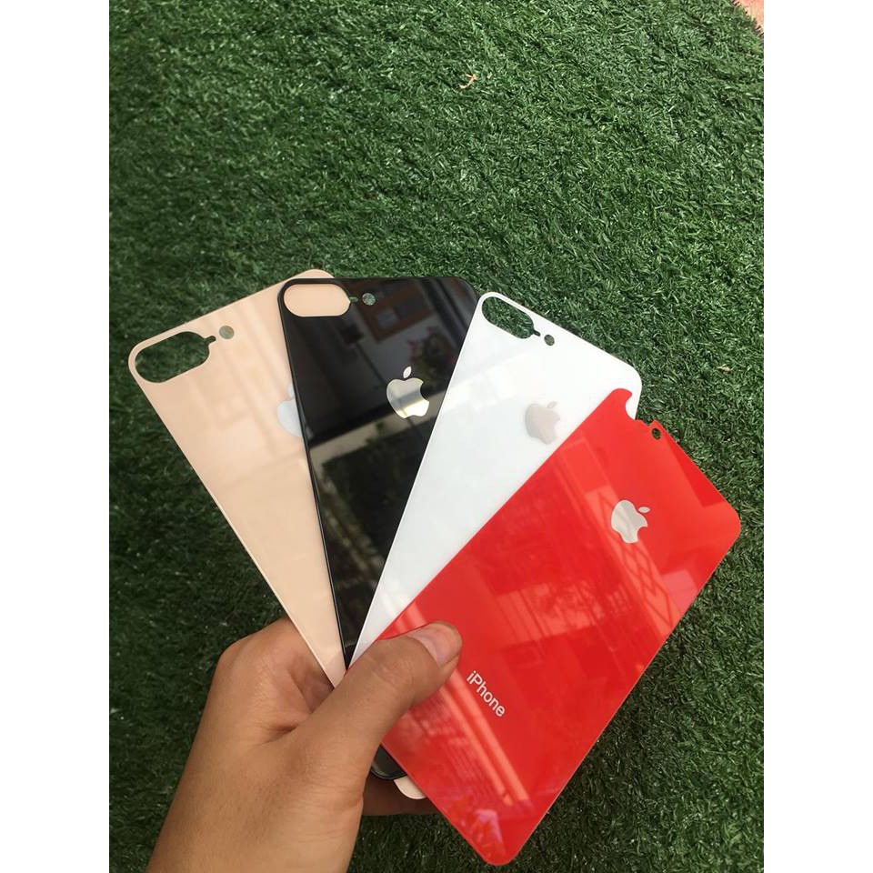 Kính Cường Lực Mặt Sau Cho Các Dòng Iphone 6/6plus/7/8/7plus/8plus/X/XS/XSMax