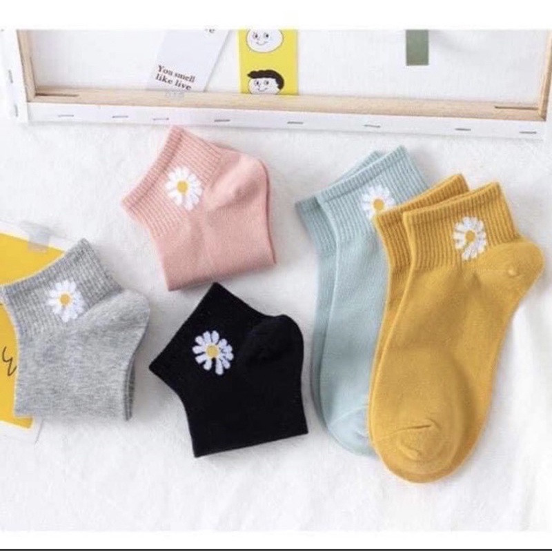 Tất Hoa Cúc Nữ Cổ Ngắn Siêu Cute 5 màu