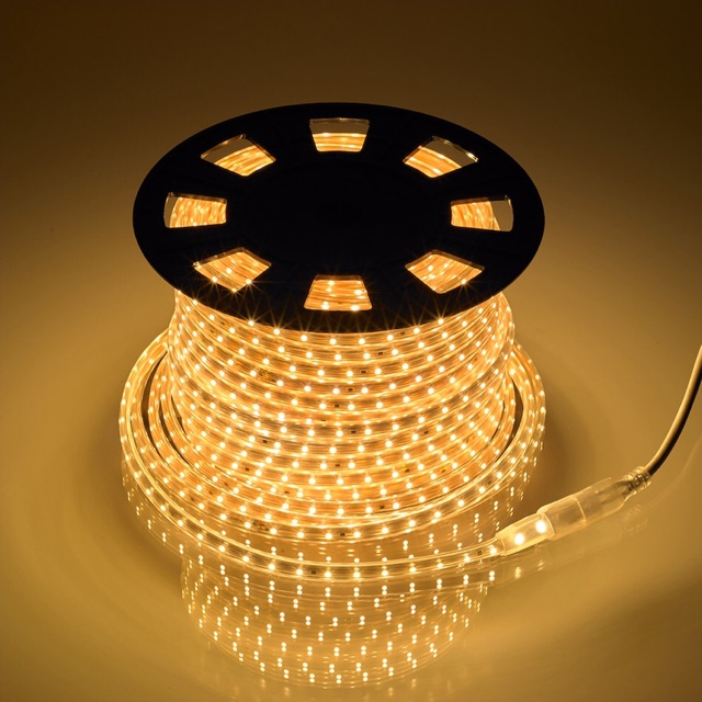Dây led cuộn 100m 220v