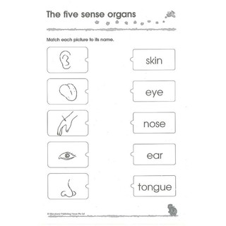 300 KINDERGARTEN bộ 3c  maths/English/Science