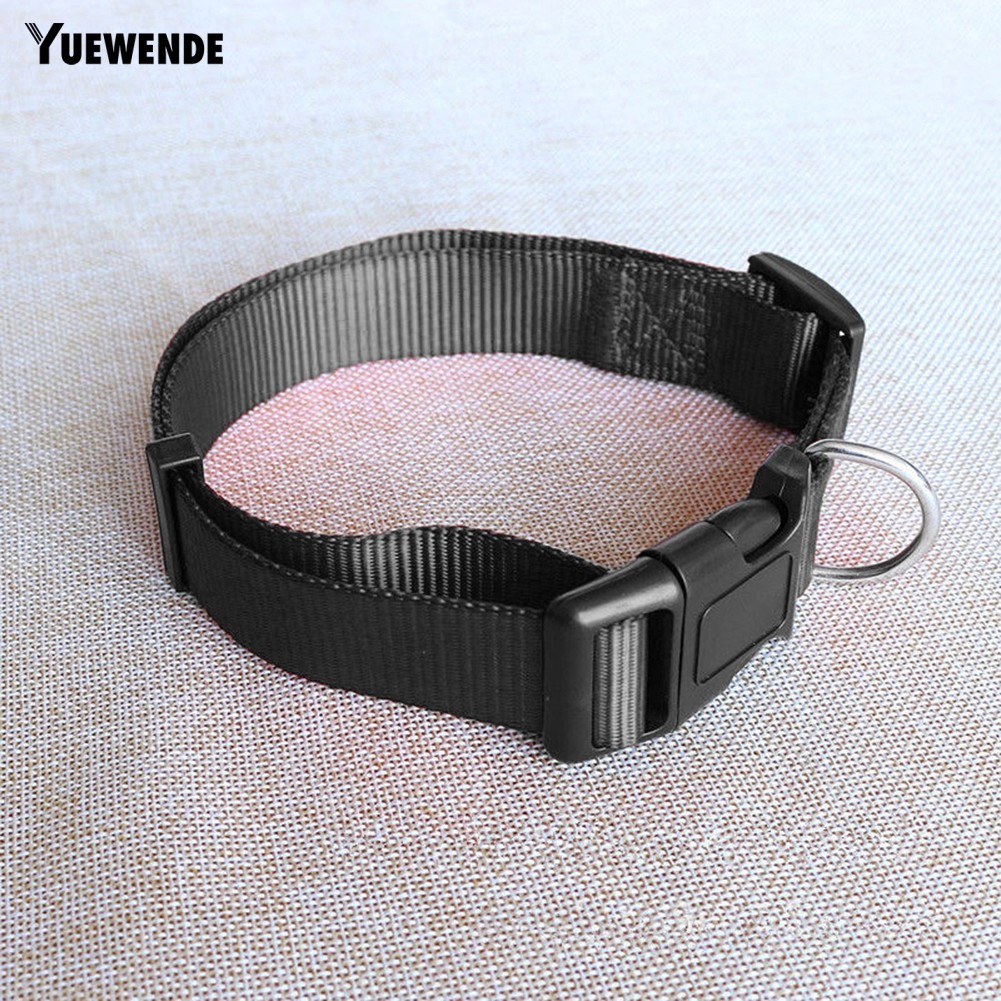 Vòng cổ an toàn đáng yêu dành cho thú cưng