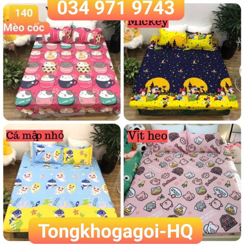 Bộ ga gối cotton poly, được chọn mẫu, gồm 1 ga chun và 2 vỏ gối