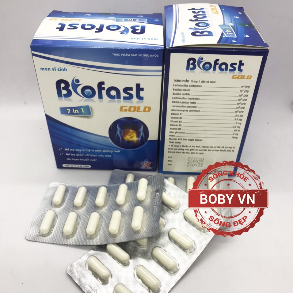 Men vi sinh Biofast Gold hỗ trợ duy trì hệ vi sinh đường ruột