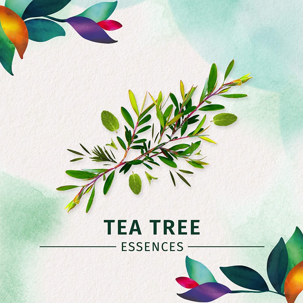 Bộ dầu gội & xả thiên nhiên hương hoa lài & trà Herbal Essences Bio Renew Tea Tree & Jasmine Purifying 600mlx2 (Mỹ)