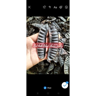 BỒ KẾT KHÔ (BỒ KẾT TỰ NHIÊN)