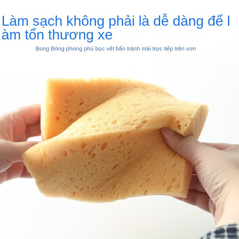 Rửa Xe Ô Tô Chuyên Dụng Thêm Khử Trùng Mạnh Mẽ Làm Sạch Thấm Xốp Mật Độ Cao, Dụng Cụ Rửa Xe Ô Tô