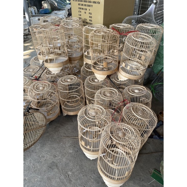 Lông chim khuyên đầy đủ phụ kiện