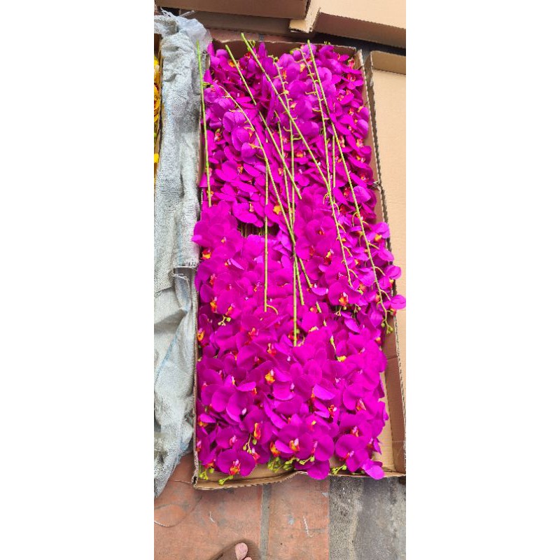 cành hoa ly cao su trang trí