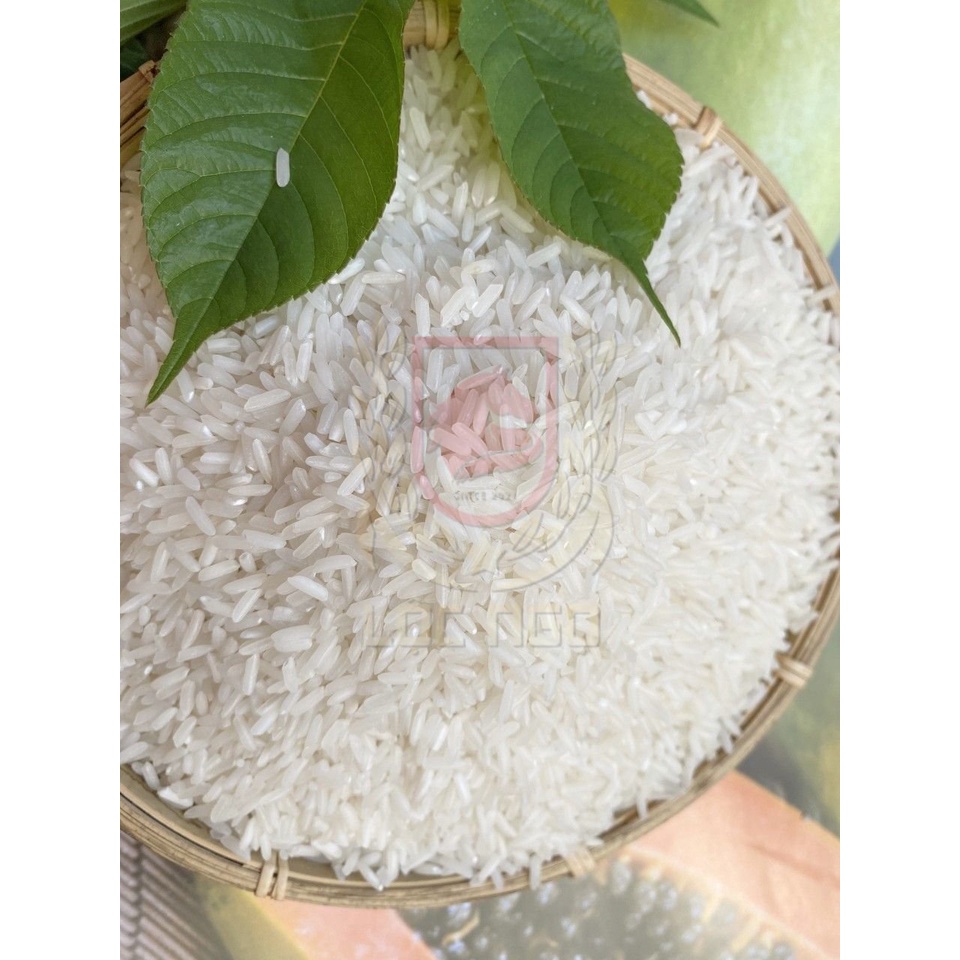 Gạo Thơm Thái 🌾𝐁𝐀𝐎 5 𝐊𝐆 🌾𝐅𝐑𝐄𝐄 𝐒𝐇𝐈𝐏🌾 Gạo Thơm Ngon Thượng Hạng